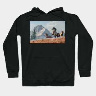 The Old War Horse Hoodie